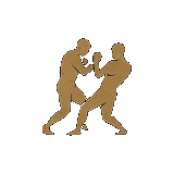 Icona Combattimento